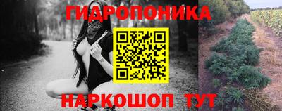 амф Кунгур