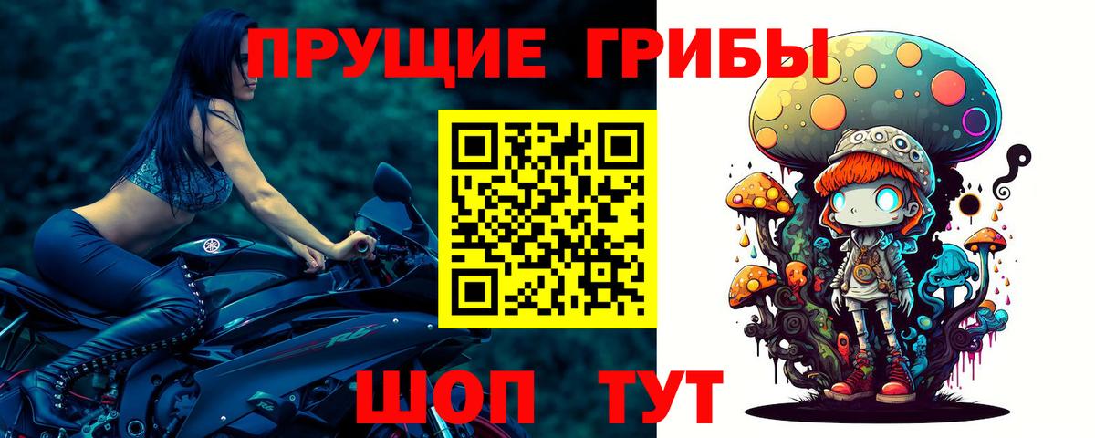 Галлюциногенные грибы Magic Shrooms Ишимбай