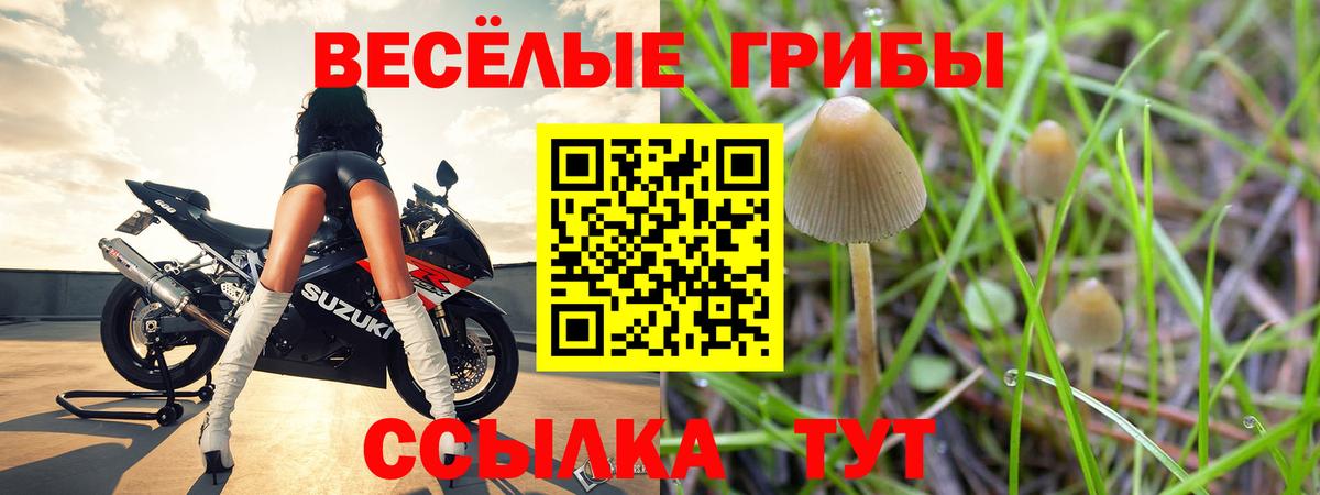 Галлюциногенные грибы Psilocybine cubensis  Псилоцибиновые грибы мицелий  Вход с VPN  Ишимбай 